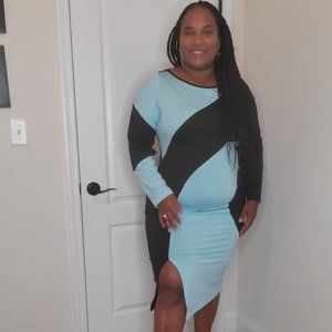 Ashely Stewart Dress 2X
